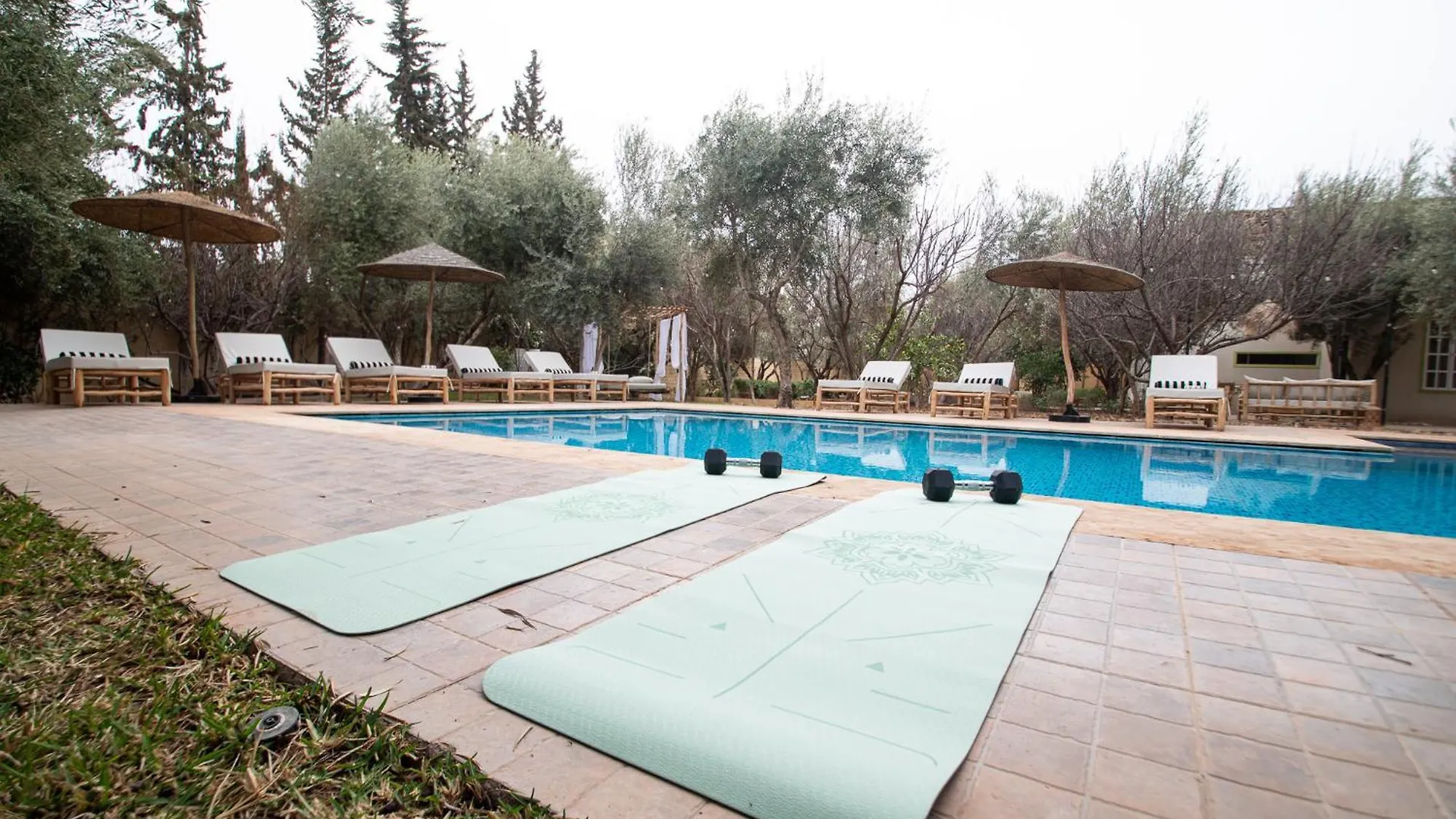 La Villa Safran Ailleurs Sous Les Oliviers Marrakesh