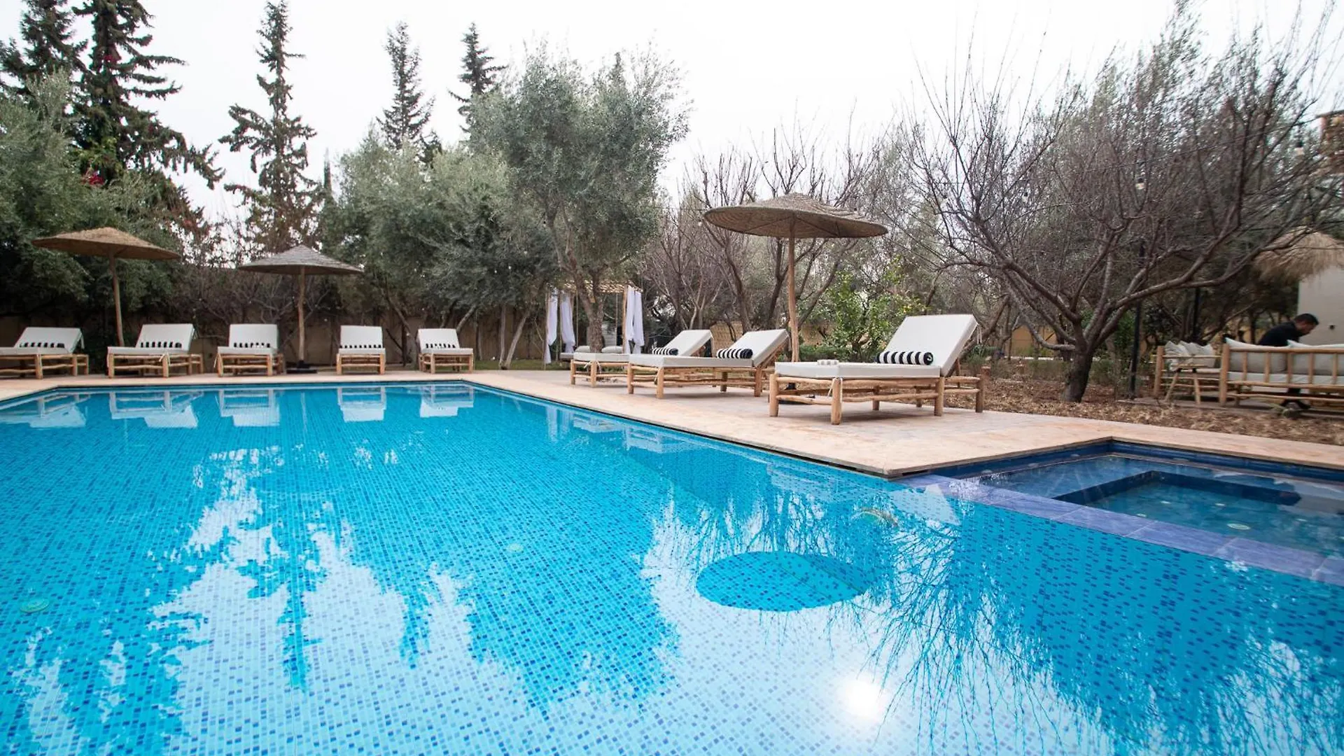 La Villa Safran Ailleurs Sous Les Oliviers Marrakesh